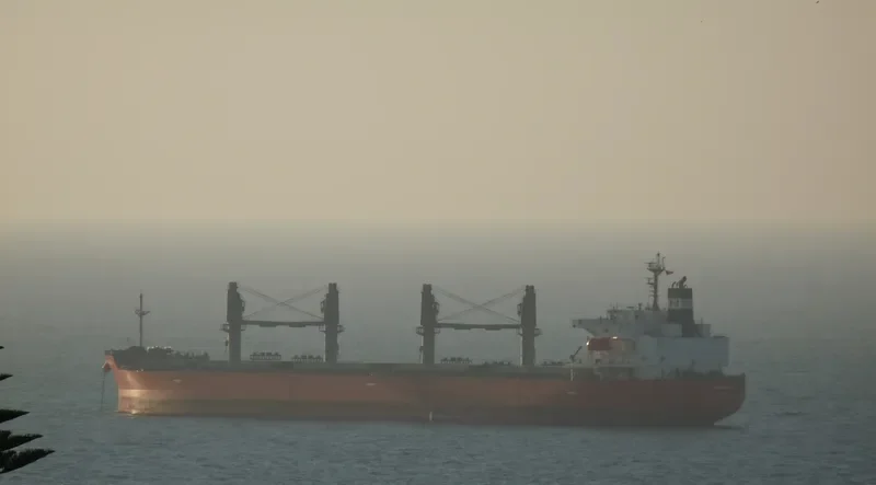 SUN MASTER Bulk Carrier IMO 9460681 photo 3