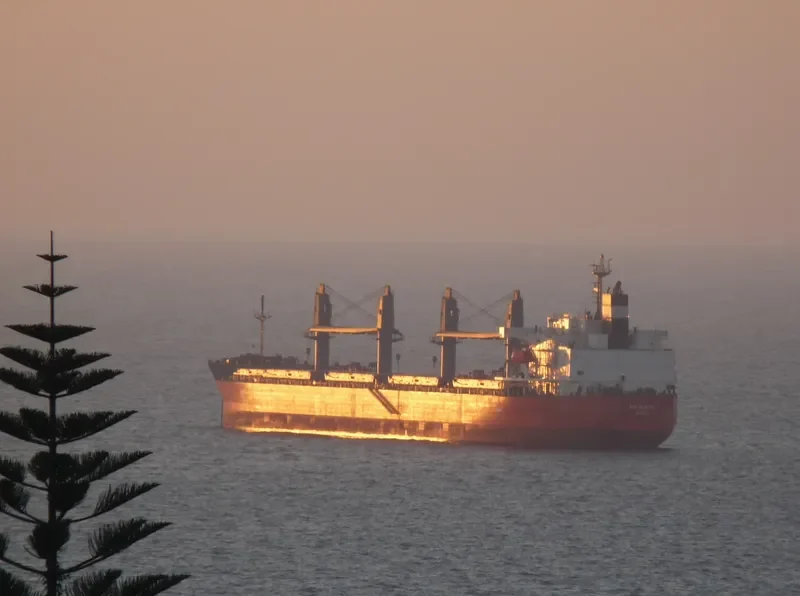 SUN MASTER Bulk Carrier IMO 9460681 photo 4