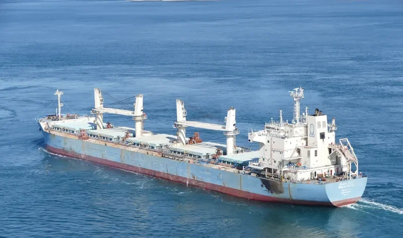 WADI ALBOSTAN Bulk Carrier IMO 9460722