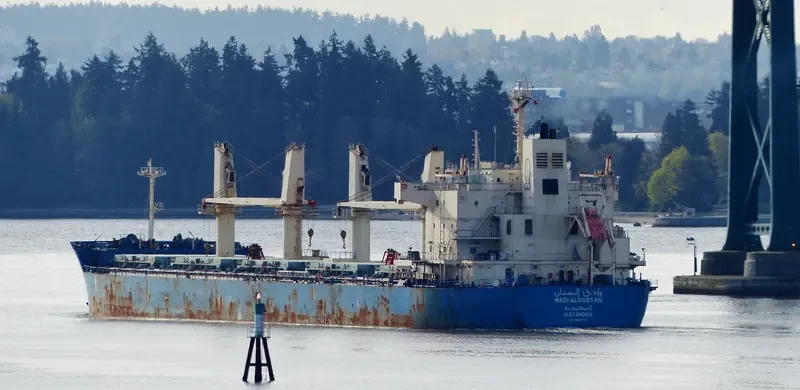 WADI ALBOSTAN Bulk Carrier IMO 9460722 photo 2