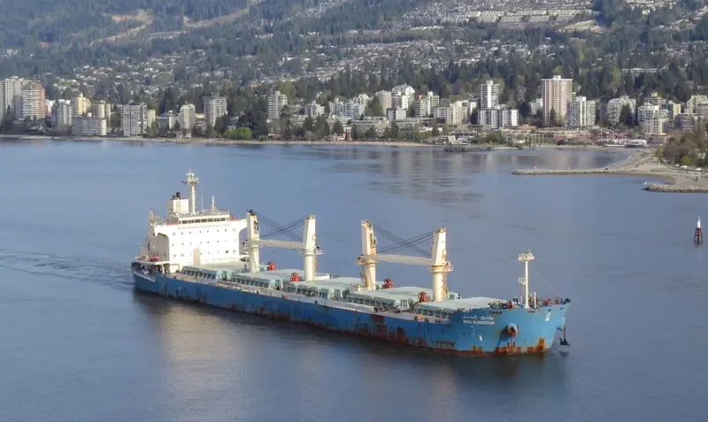 WADI ALBOSTAN Bulk Carrier IMO 9460722 photo 3