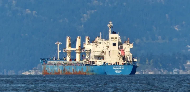 WADI ALBOSTAN Bulk Carrier IMO 9460722 photo 4