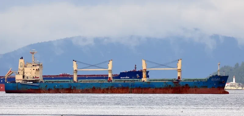 WADI ALBOSTAN Bulk Carrier IMO 9460722 photo 5