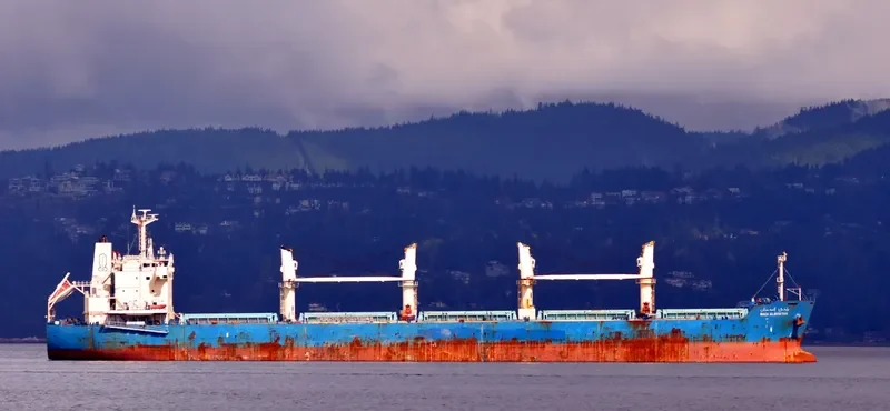 WADI ALBOSTAN Bulk Carrier IMO 9460722 photo 6