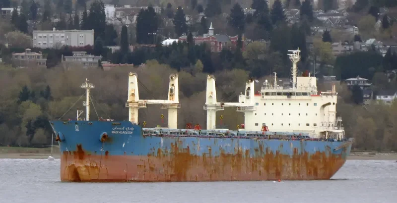 WADI ALBOSTAN Bulk Carrier IMO 9460722 photo 7