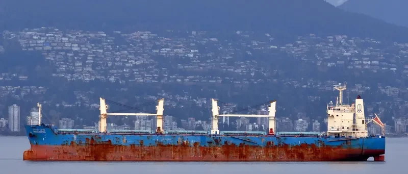 WADI ALBOSTAN Bulk Carrier IMO 9460722 photo 9