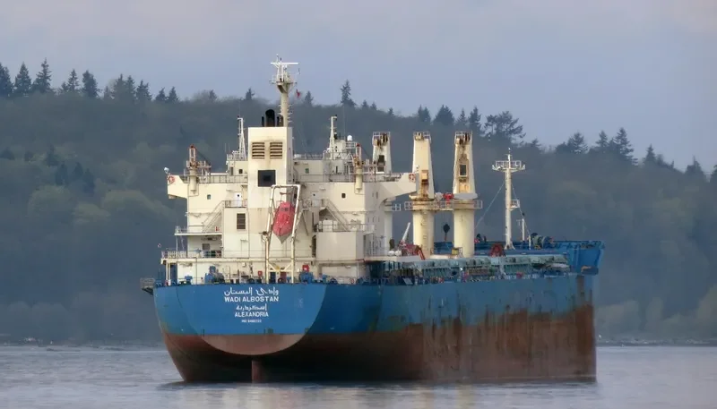 WADI ALBOSTAN Bulk Carrier IMO 9460722 photo 10