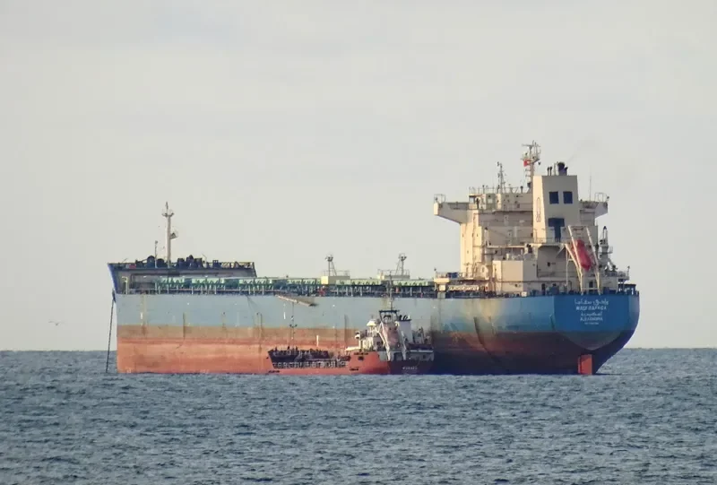 WADI SAFAGA Bulk Carrier IMO 9460734