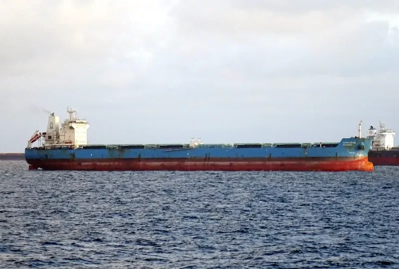 WADI SAFAGA Bulk Carrier IMO 9460734 photo 2
