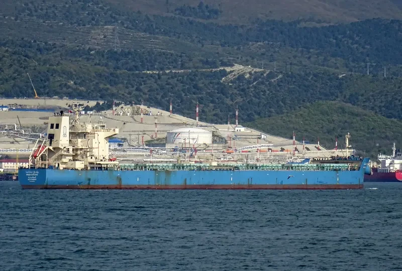 WADI SAFAGA Bulk Carrier IMO 9460734 photo 3
