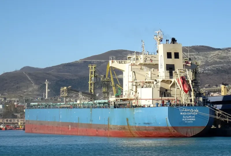 WADI SAFAGA Bulk Carrier IMO 9460734 photo 4