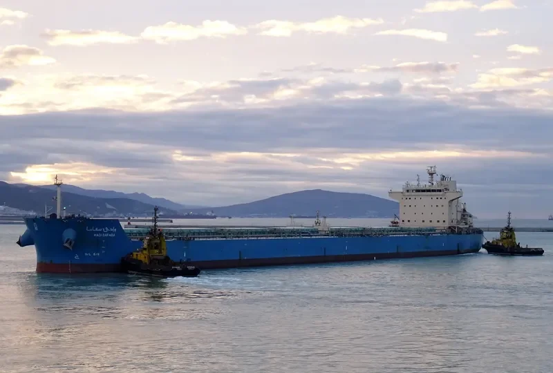 WADI SAFAGA Bulk Carrier IMO 9460734 photo 5
