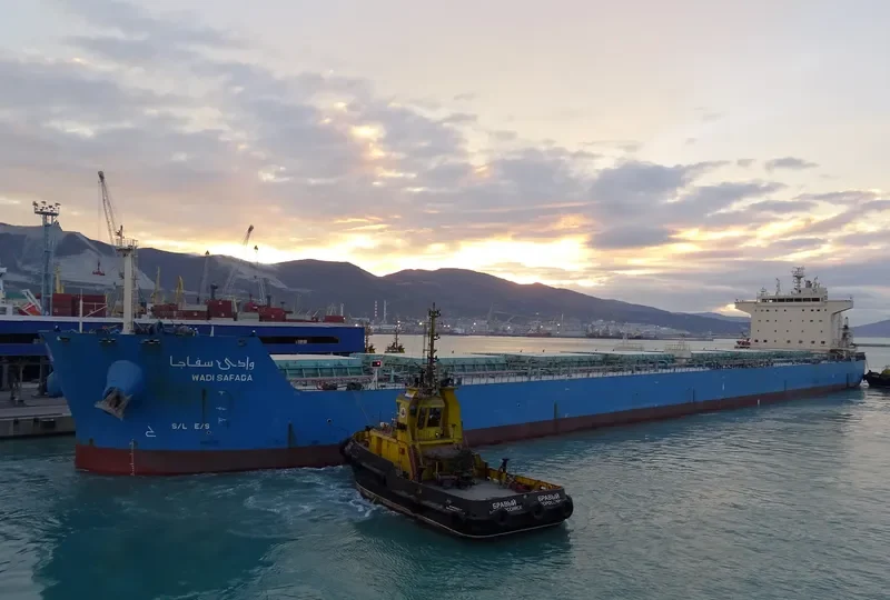 WADI SAFAGA Bulk Carrier IMO 9460734 photo 6