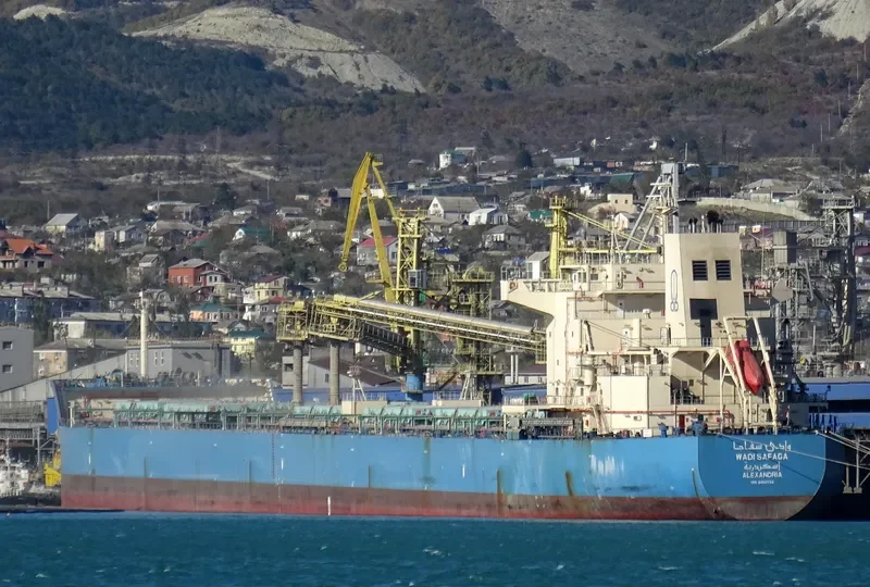 WADI SAFAGA Bulk Carrier IMO 9460734 photo 7