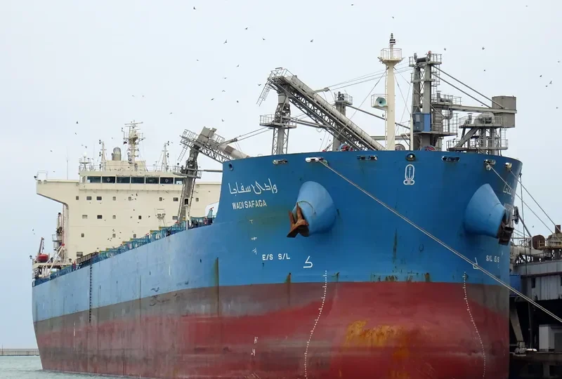 WADI SAFAGA Bulk Carrier IMO 9460734 photo 8