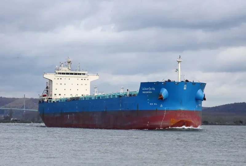 WADI SAFAGA Bulk Carrier IMO 9460734 photo 9
