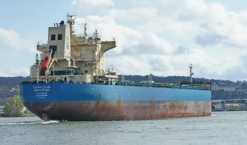 WADI SAFAGA Bulk Carrier IMO 9460734 photo 10