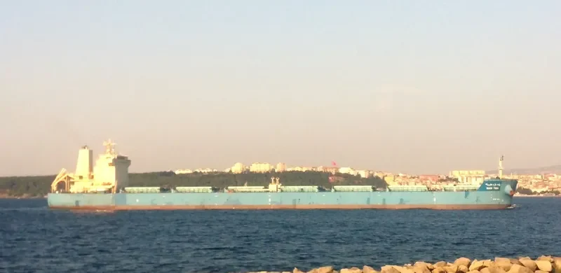 WADI TIBA Bulk Carrier IMO 9460746