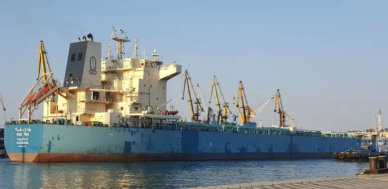 WADI TIBA Bulk Carrier IMO 9460746 photo 2