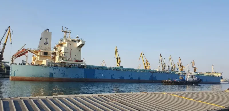 WADI TIBA Bulk Carrier IMO 9460746 photo 3