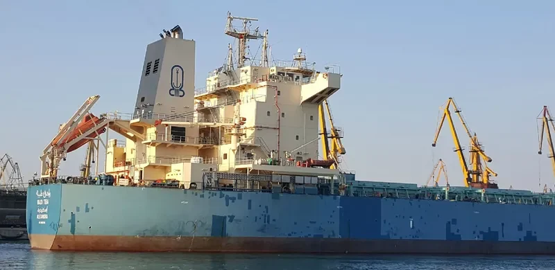 WADI TIBA Bulk Carrier IMO 9460746 photo 4