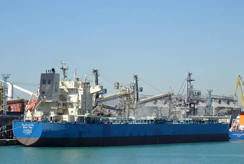 WADI TIBA Bulk Carrier IMO 9460746 photo 5
