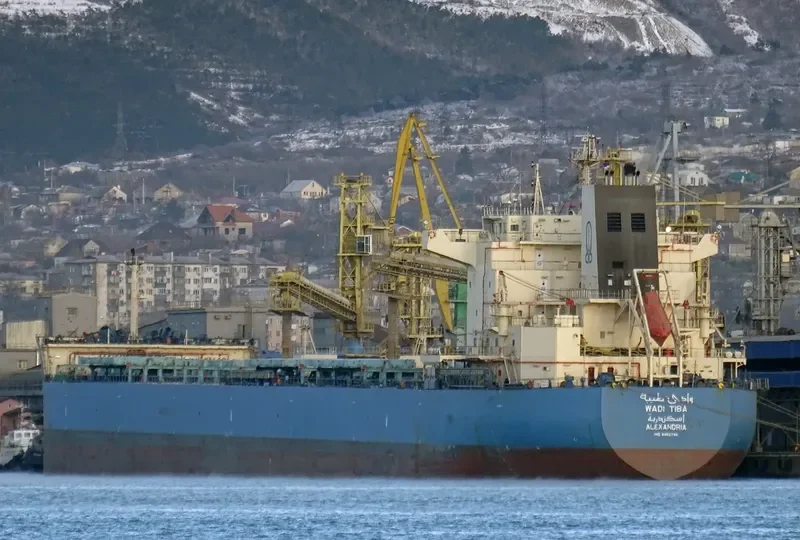 WADI TIBA Bulk Carrier IMO 9460746 photo 6