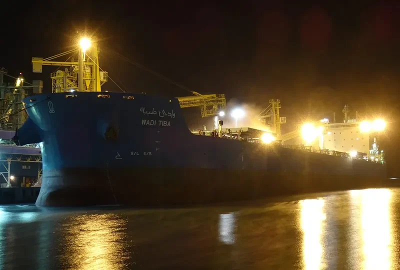 WADI TIBA Bulk Carrier IMO 9460746 photo 7