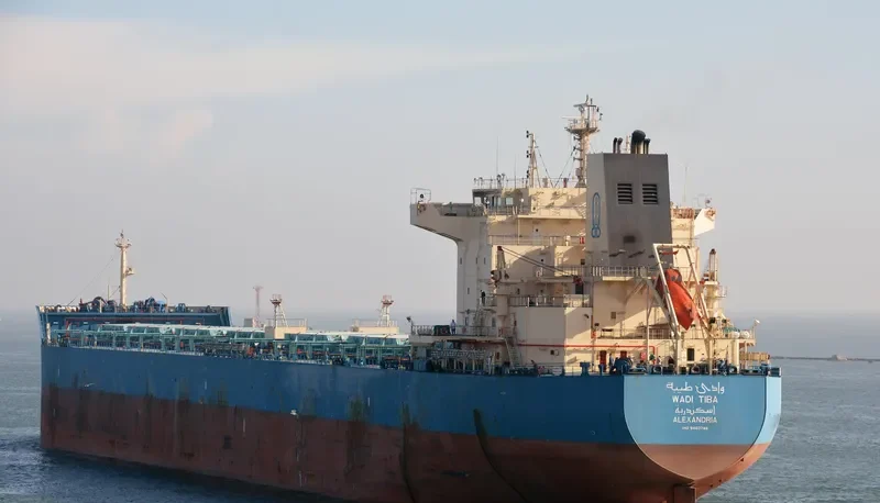 WADI TIBA Bulk Carrier IMO 9460746 photo 9