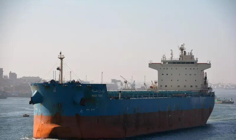 WADI TIBA Bulk Carrier IMO 9460746 photo 10