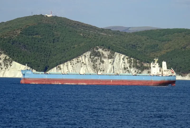 WADI ALKARM Bulk Carrier IMO 9460760