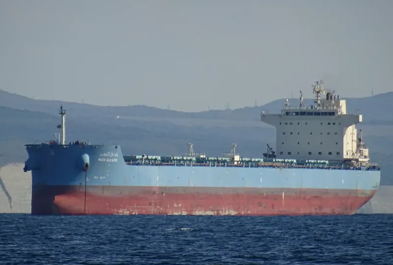 WADI ALKARM Bulk Carrier IMO 9460760 photo 2