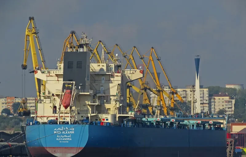 WADI ALKARM Bulk Carrier IMO 9460760 photo 4