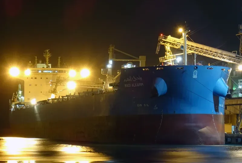 WADI ALKARM Bulk Carrier IMO 9460760 photo 5