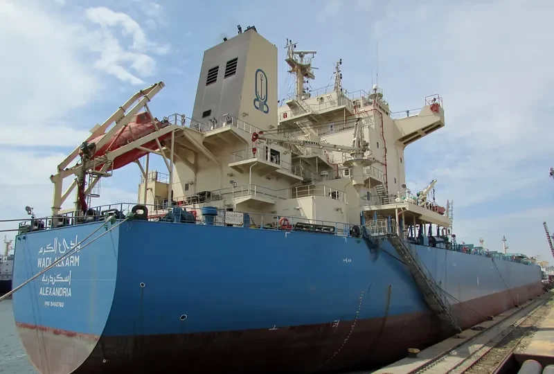 WADI ALKARM Bulk Carrier IMO 9460760 photo 6