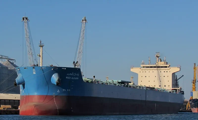WADI ALKARM Bulk Carrier IMO 9460760 photo 7