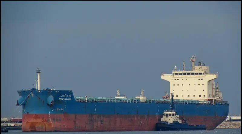 WADI ALKARM Bulk Carrier IMO 9460760 photo 8