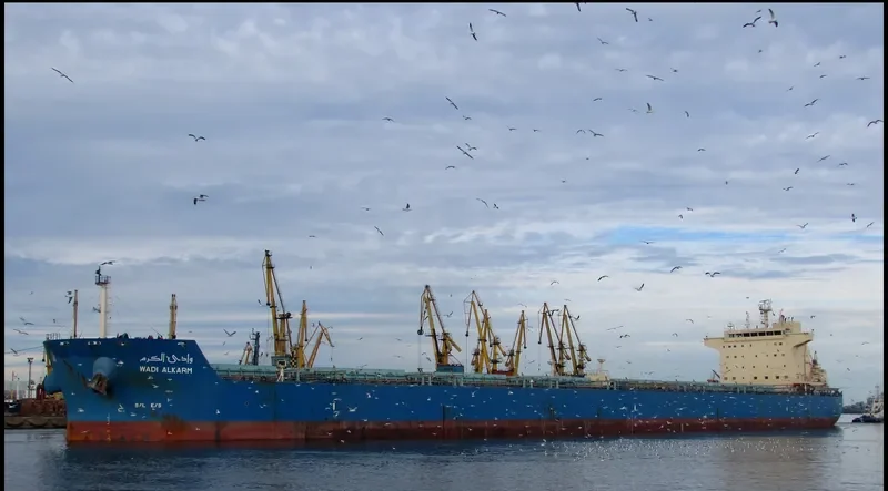 WADI ALKARM Bulk Carrier IMO 9460760 photo 9