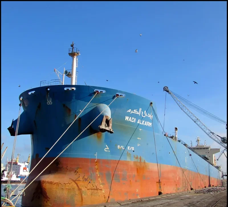 WADI ALKARM Bulk Carrier IMO 9460760 photo 10