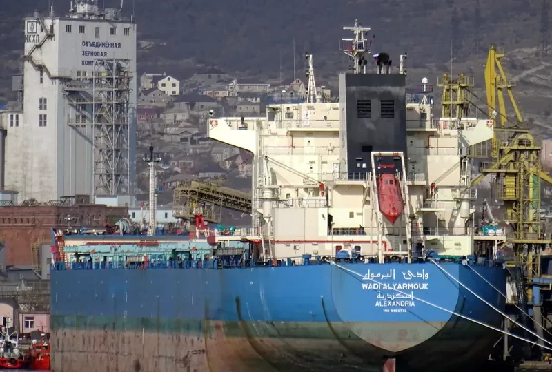 WADI ALYARMOUK Bulk Carrier IMO 9460772