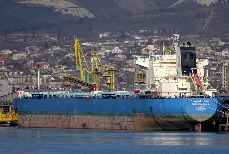 WADI ALYARMOUK Bulk Carrier IMO 9460772 photo 2