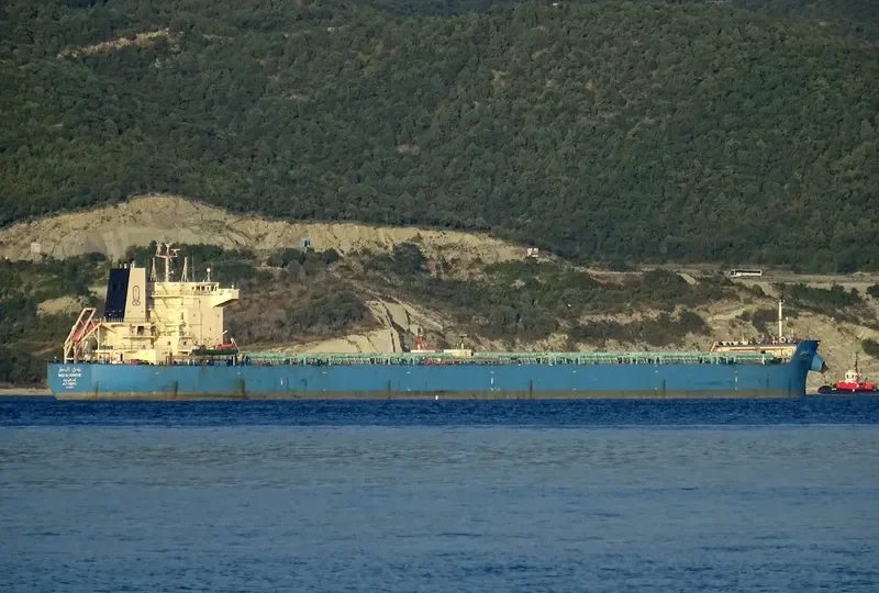 WADI ALYARMOUK Bulk Carrier IMO 9460772 photo 3
