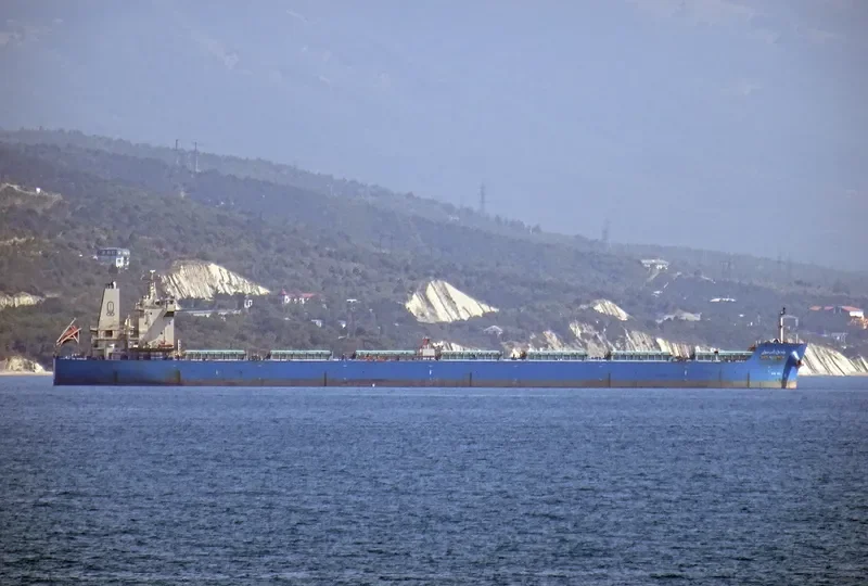 WADI ALYARMOUK Bulk Carrier IMO 9460772 photo 4