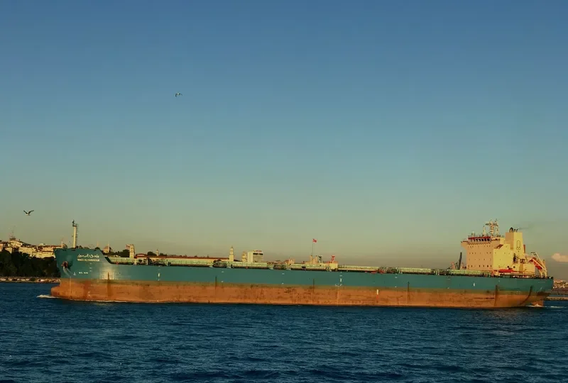 WADI ALYARMOUK Bulk Carrier IMO 9460772 photo 6