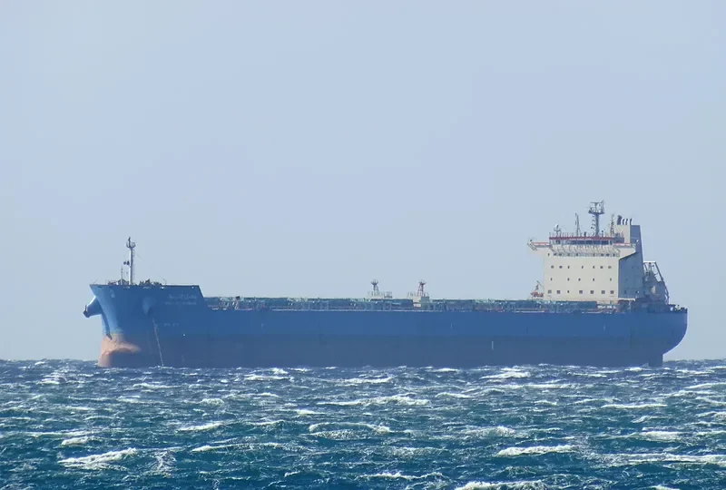 WADI ALYARMOUK Bulk Carrier IMO 9460772 photo 7