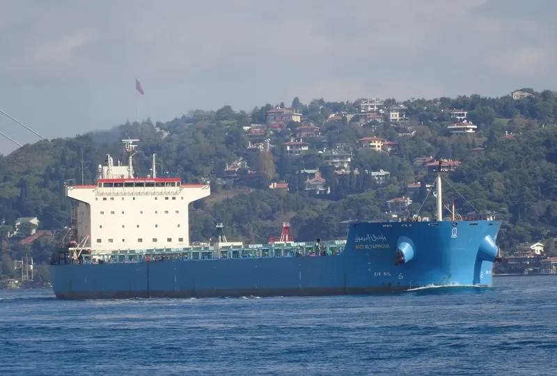 WADI ALYARMOUK Bulk Carrier IMO 9460772 photo 8