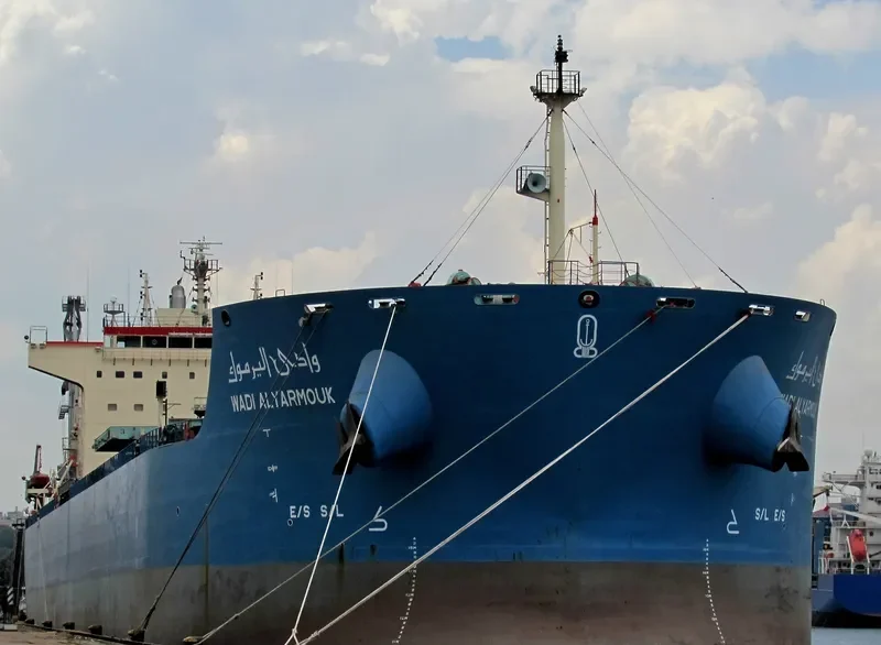 WADI ALYARMOUK Bulk Carrier IMO 9460772 photo 9