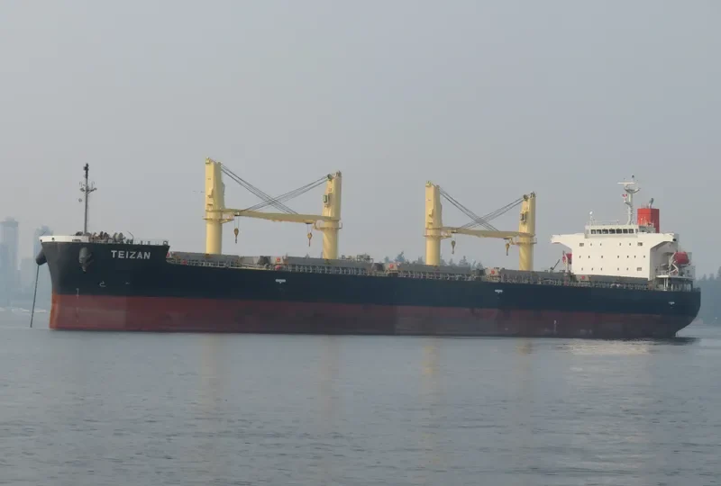 TRUE CONFIDENCE Bulk Carrier IMO 9460784