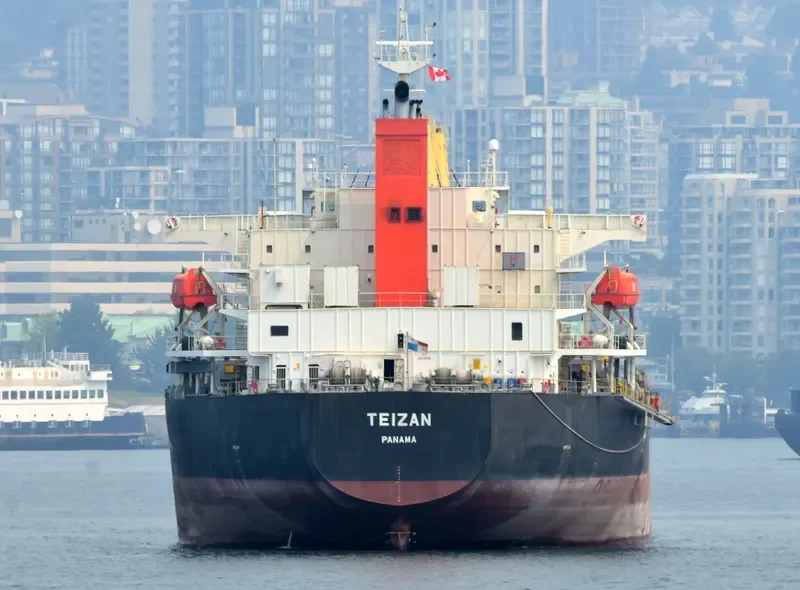 TRUE CONFIDENCE Bulk Carrier IMO 9460784 photo 2