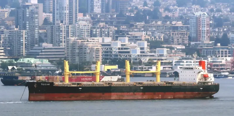 TRUE CONFIDENCE Bulk Carrier IMO 9460784 photo 3